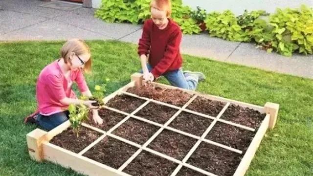 小型菜园怎么合理利用,1米菜园立体菜园