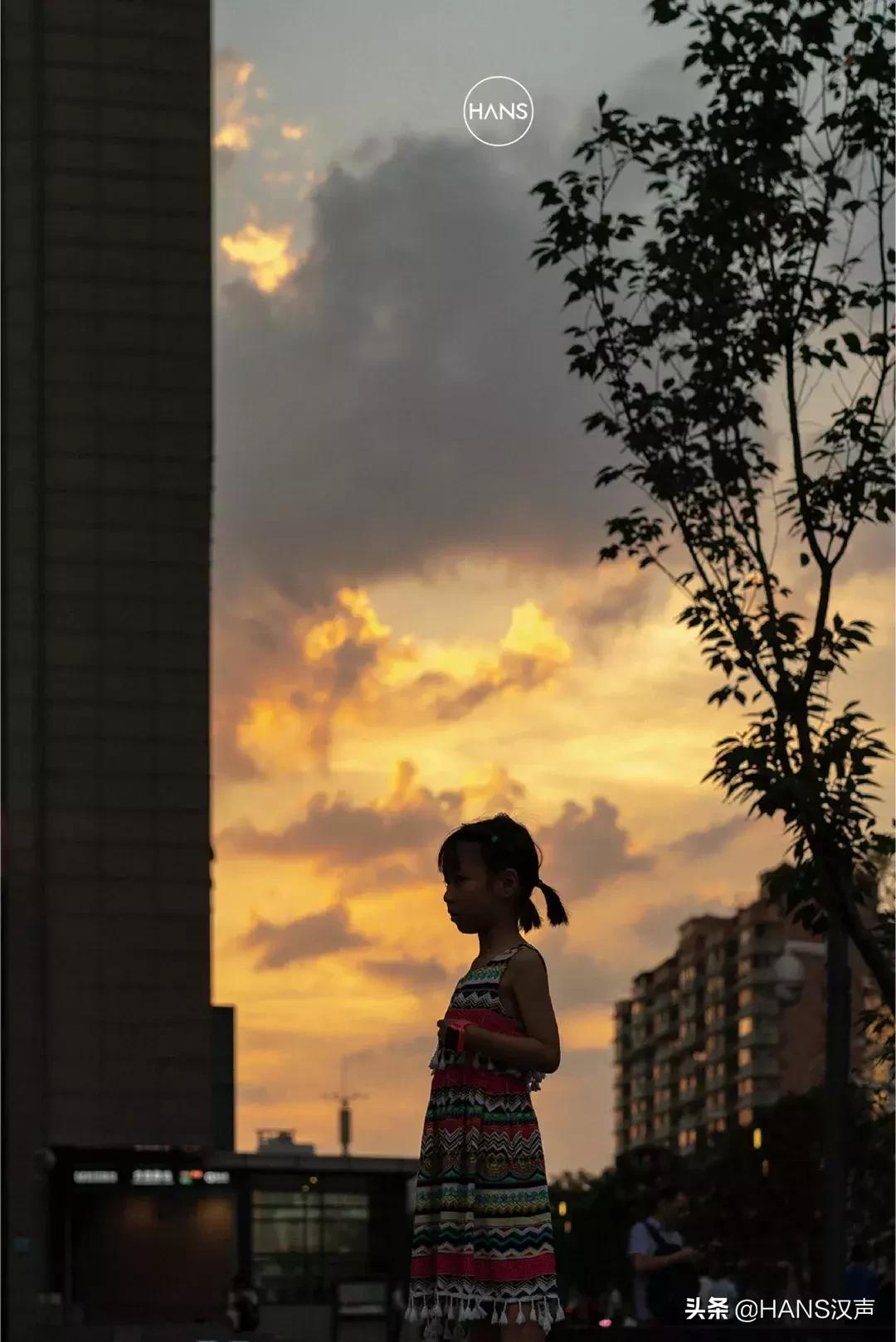 这里是台北路：绿荫蝉鸣的惬意背后，暗藏气象万千