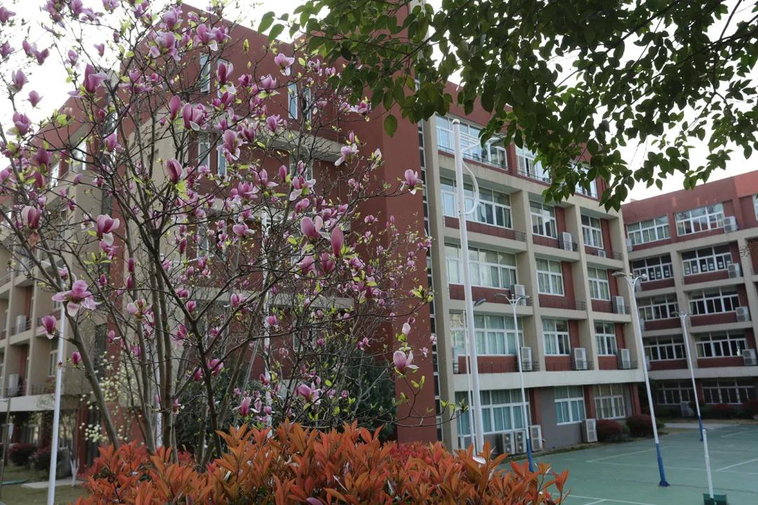 碧桂园山湖城学校开学,碧桂园西湖小学开学