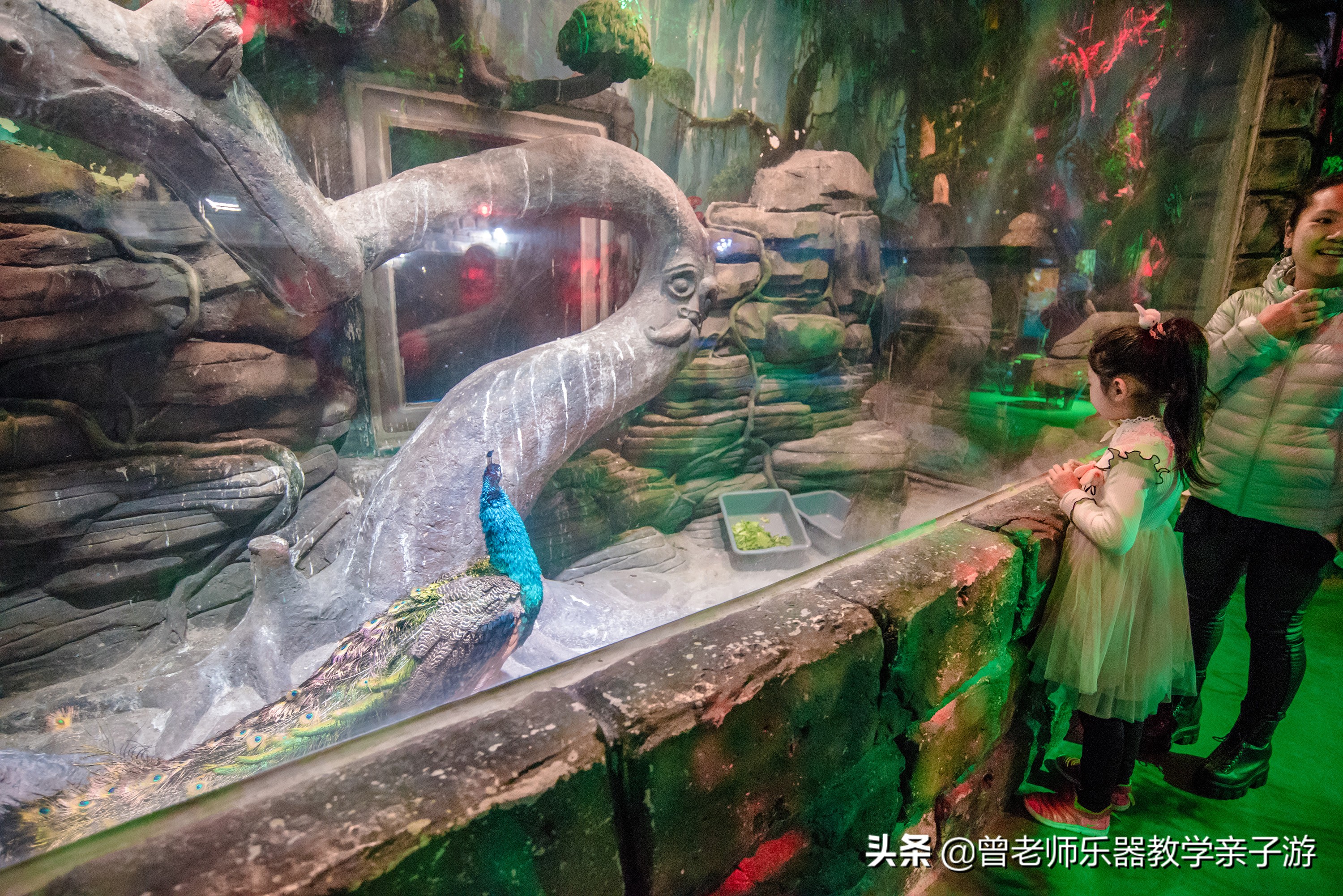 西安太奥海洋馆,西安极地海洋世界海豚表演