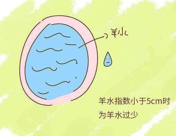 胎儿吞咽羊水会导致羊水变少吗,孕妇一天不喝水羊水会变少吗