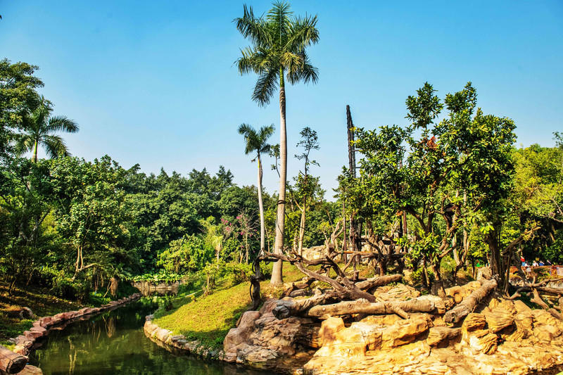 玩转广州长隆野生动物世界之行,广州长隆动物世界游玩攻略图