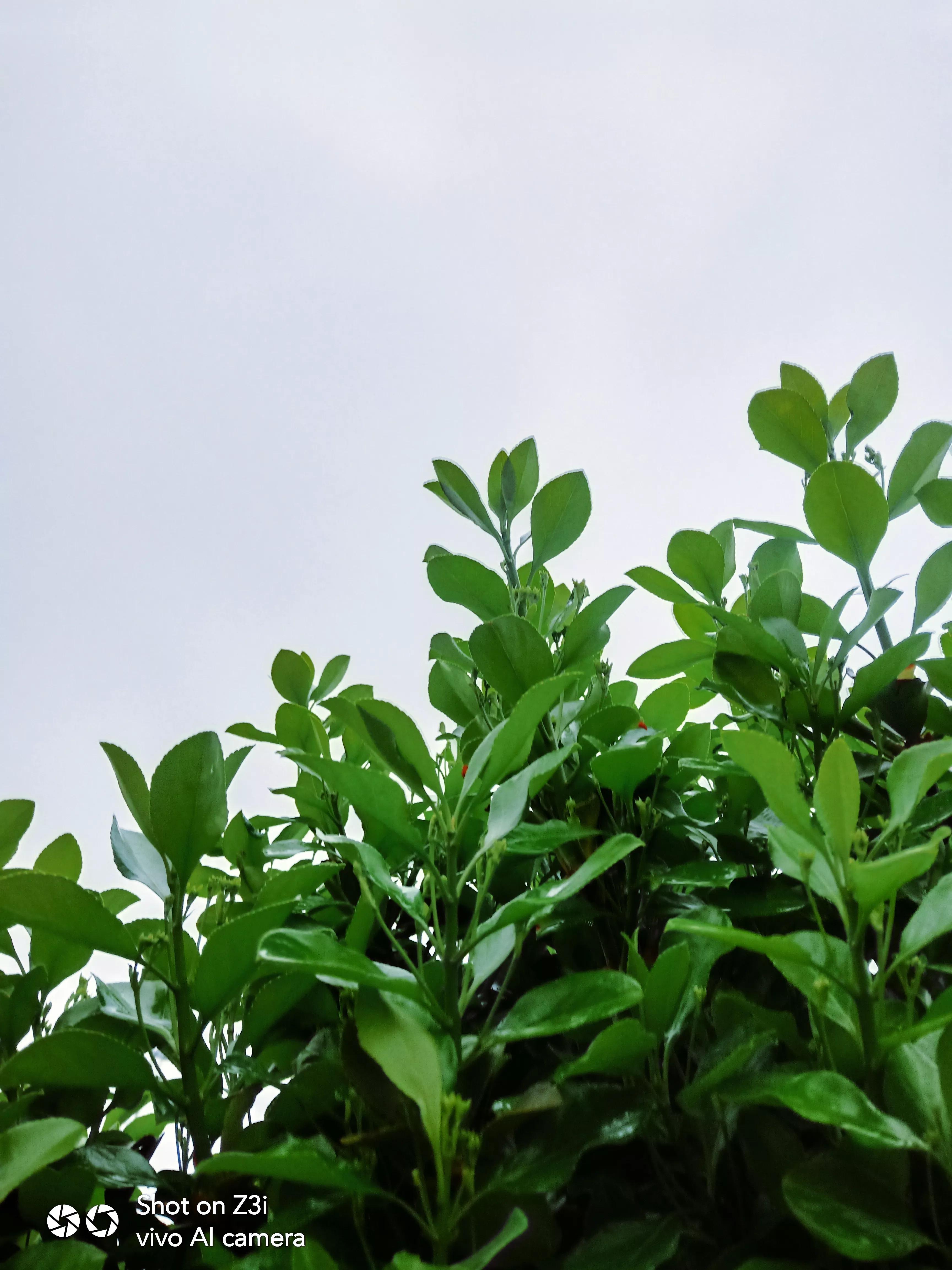 与青春期的儿子斗智斗勇,和青春期孩子斗智斗勇