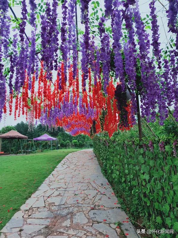 五一怀化亲子游推荐,怀化五一可以带孩子参观的地方