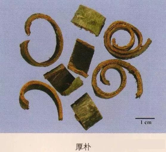 中药材图片大全大图带药名,200多味中药材图谱带图