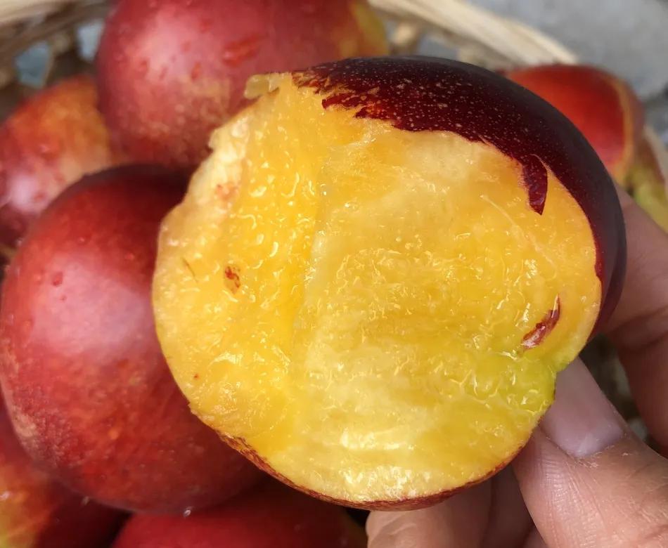 夏天吃什么水果解暑又解馋,炎热夏天吃哪些水果好吃