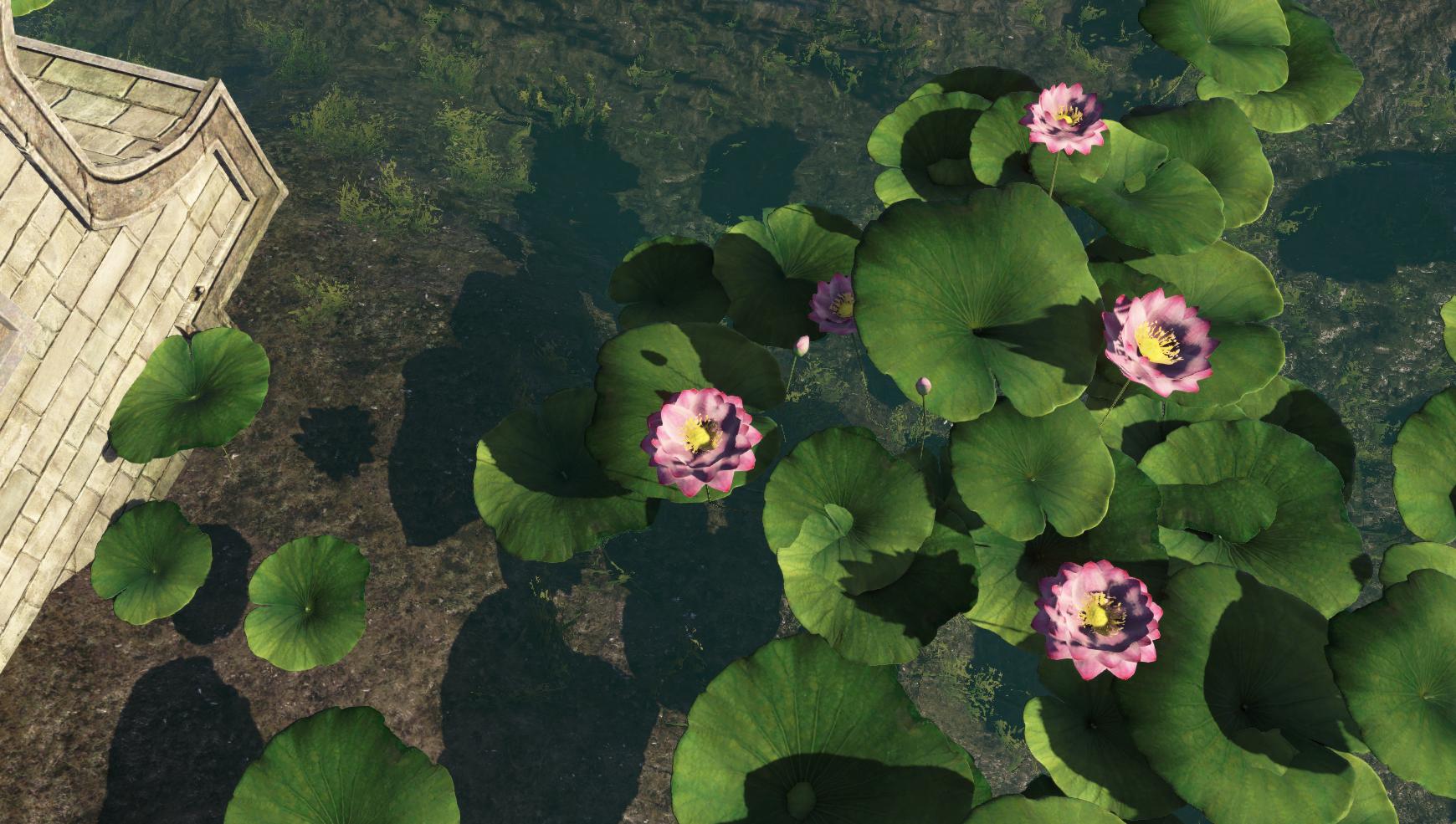 天刀萌新推荐吗,天刀萌新被劝退