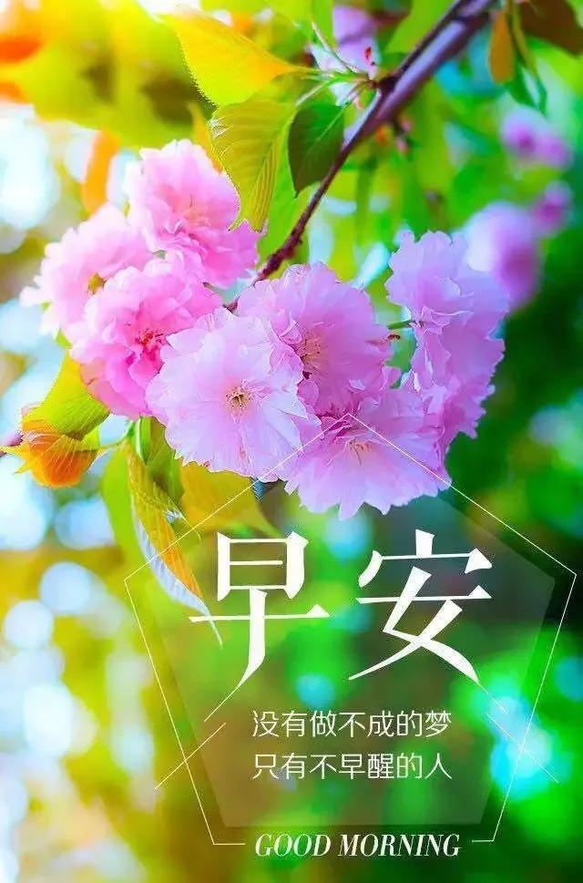 最新群友们早上好问候祝福语,微信群关于早上好的祝福语