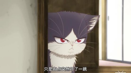 最萌新番,豆瓣8.8最佳纪录片女主