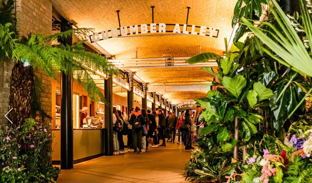 伦敦政经lse怎么申请,英国伦敦政经学院qs排名