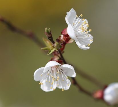 健康=长寿？保健专家却说……