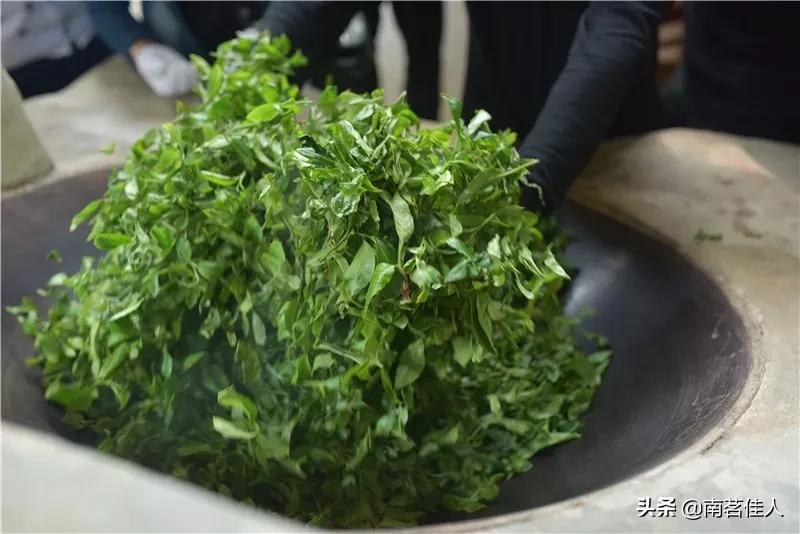 杀青轻重对普洱茶有什么影响,普洱茶杀青有什么作用