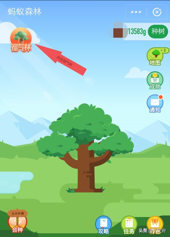 五福如何集齐所有福卡,集齐五福后才能集花花卡吗