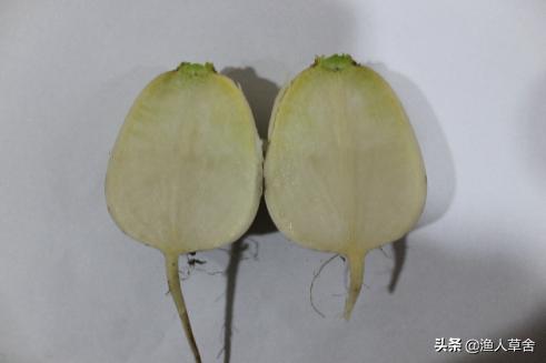 中国地理标志农产品品牌有标识吗,全国农产品地理标志排名