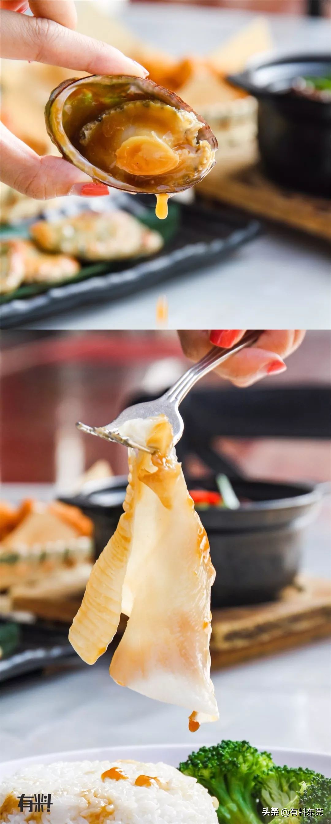 石锅鱼翅花胶捞饭团购,上海花胶鱼翅捞饭