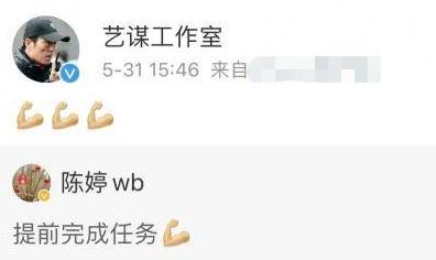 为生三胎代价大！张艺谋被罚巨款、佟大为女儿变领养、黄磊降职？