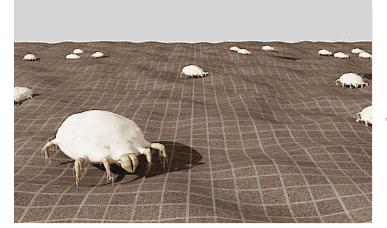 后背长痘的原因和改善方法,后背长痘太可怕了该怎样调理