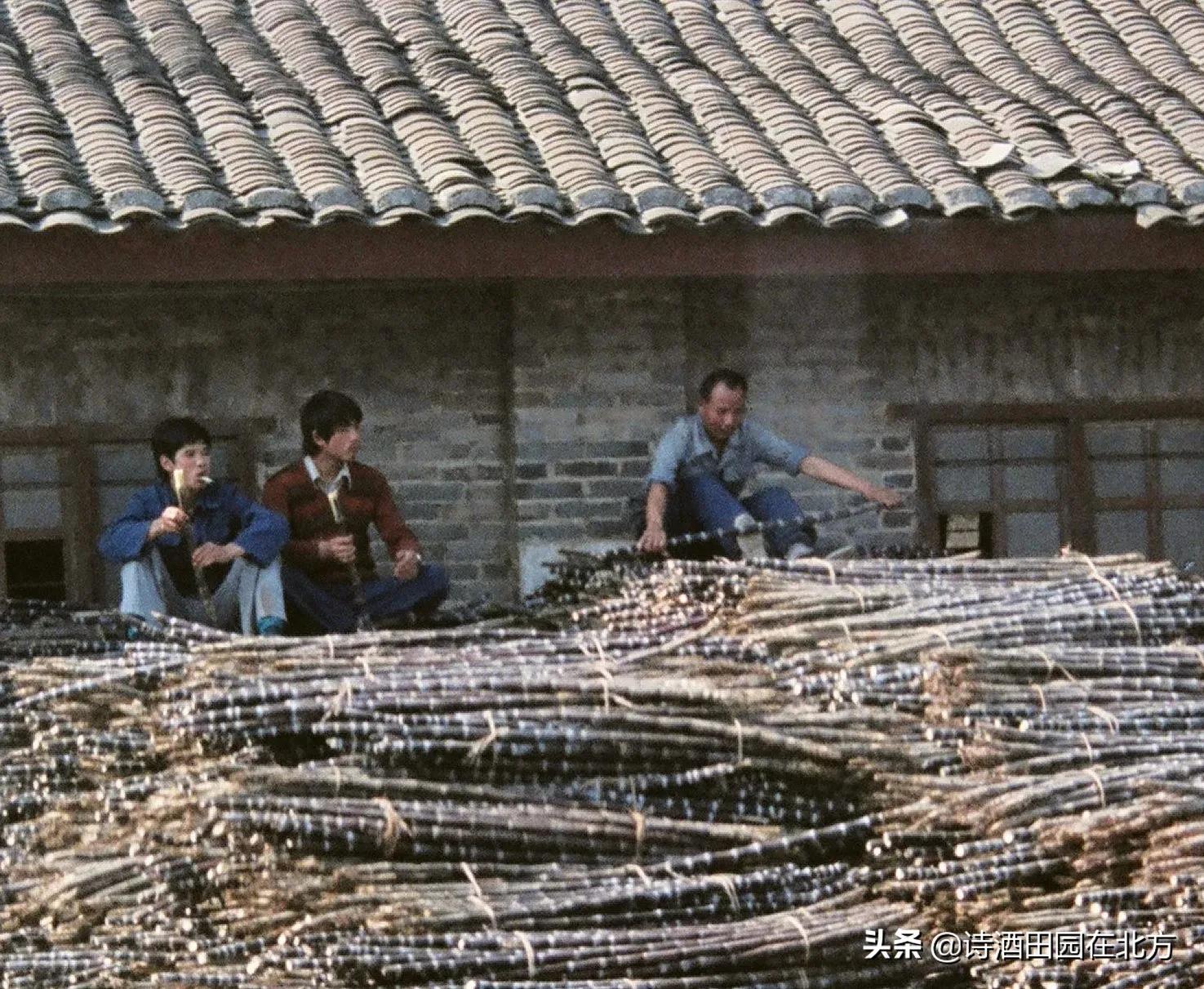 八十年代阳朔,上世纪八十年代广西桂林图片