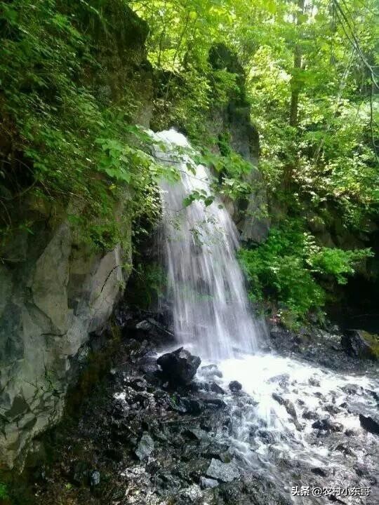 全国一村一品示范村镇第九批,全国一村一品示范村镇名单公布