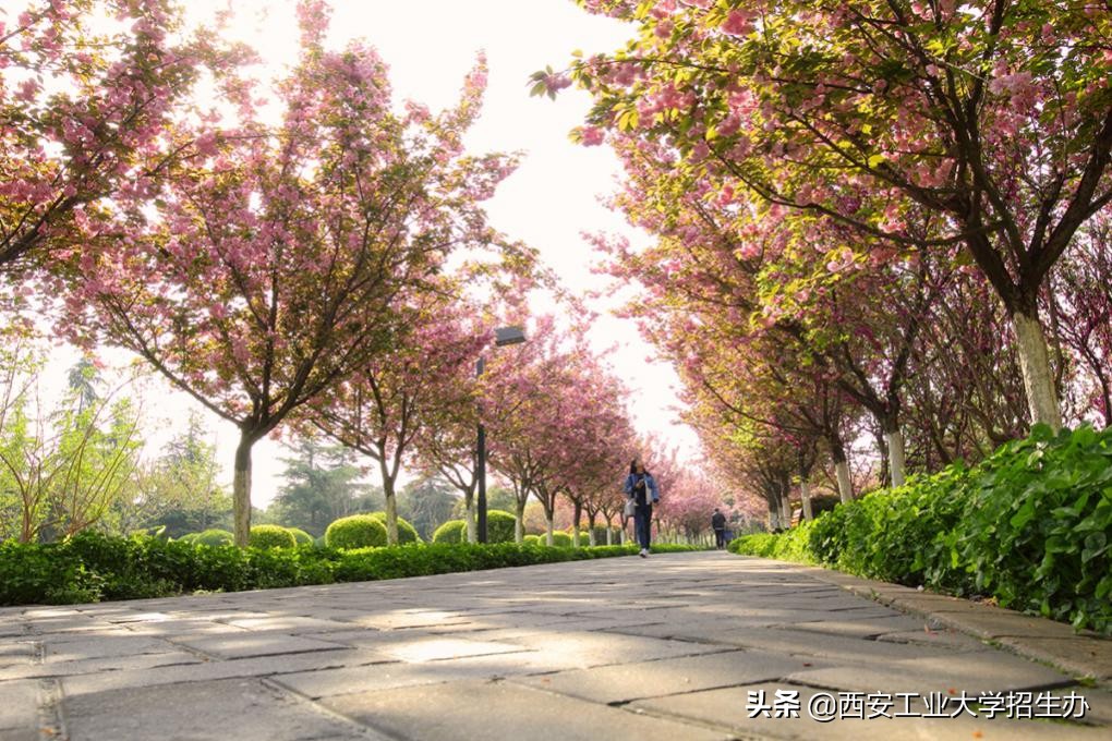 怎么给学生发新年祝福,春节如何花式送祝福