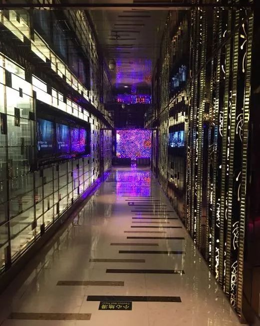 月坛银杏,月坛公园有银杏吗