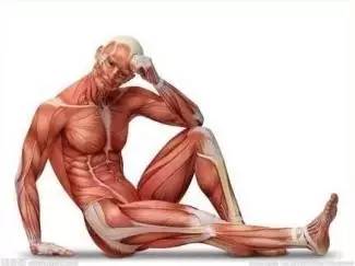 神奇的防衰延寿——莲菁华/莲原花青素