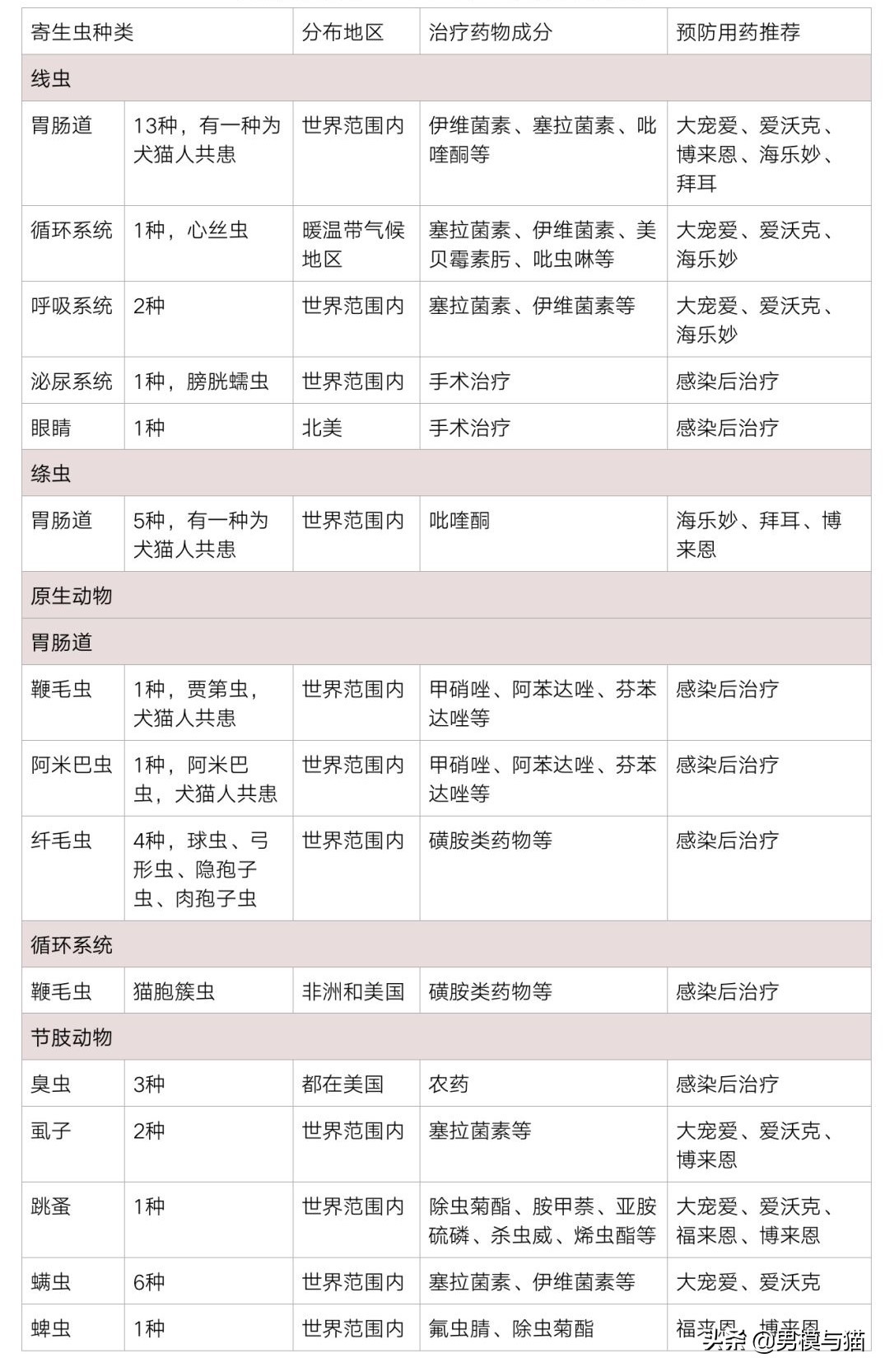 猫咪驱虫多久驱一次,新手驱虫猫