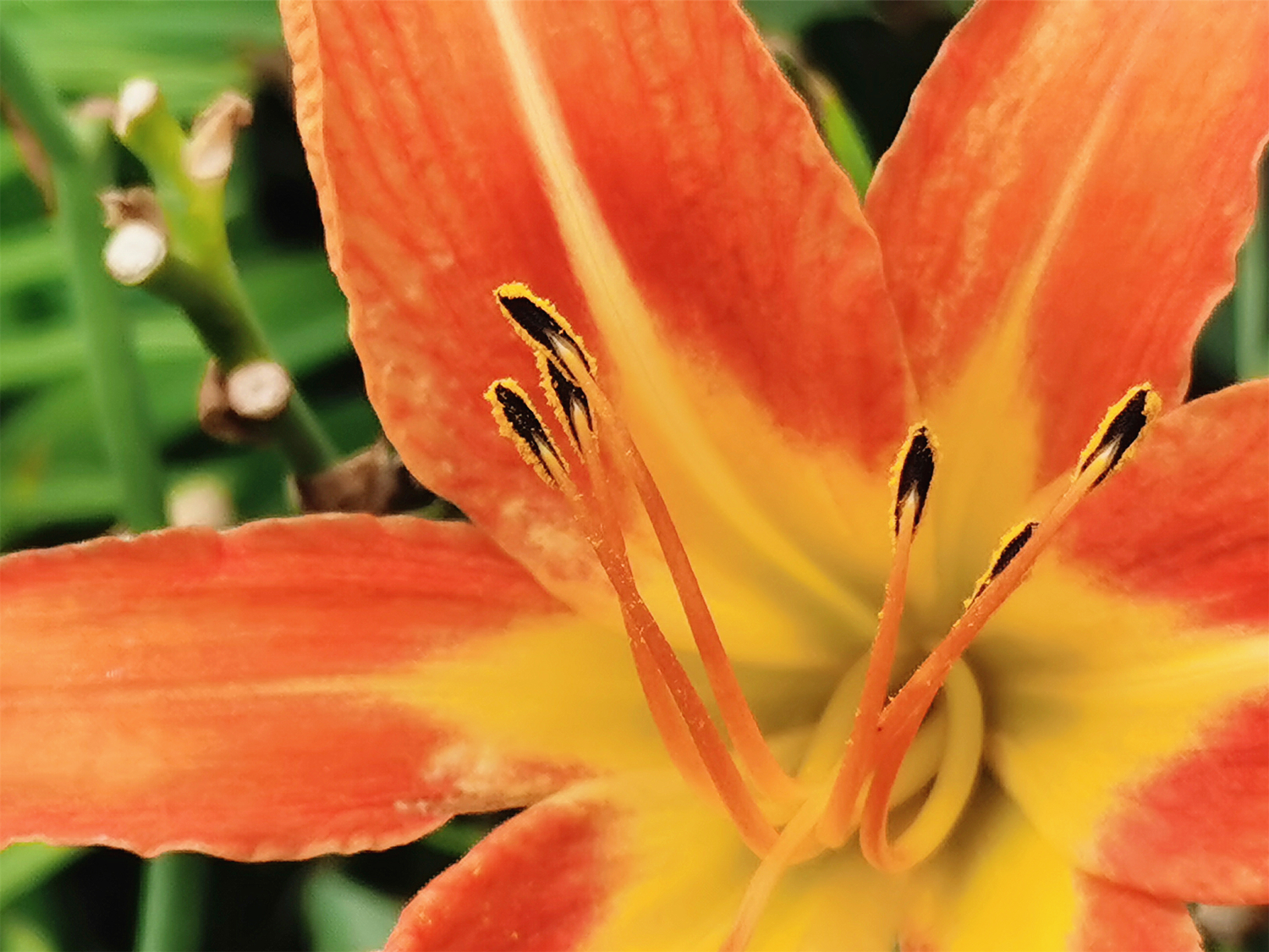 光荣play4pro麒麟9905g信号怎么样,光荣play4pro是麒麟9905g吗