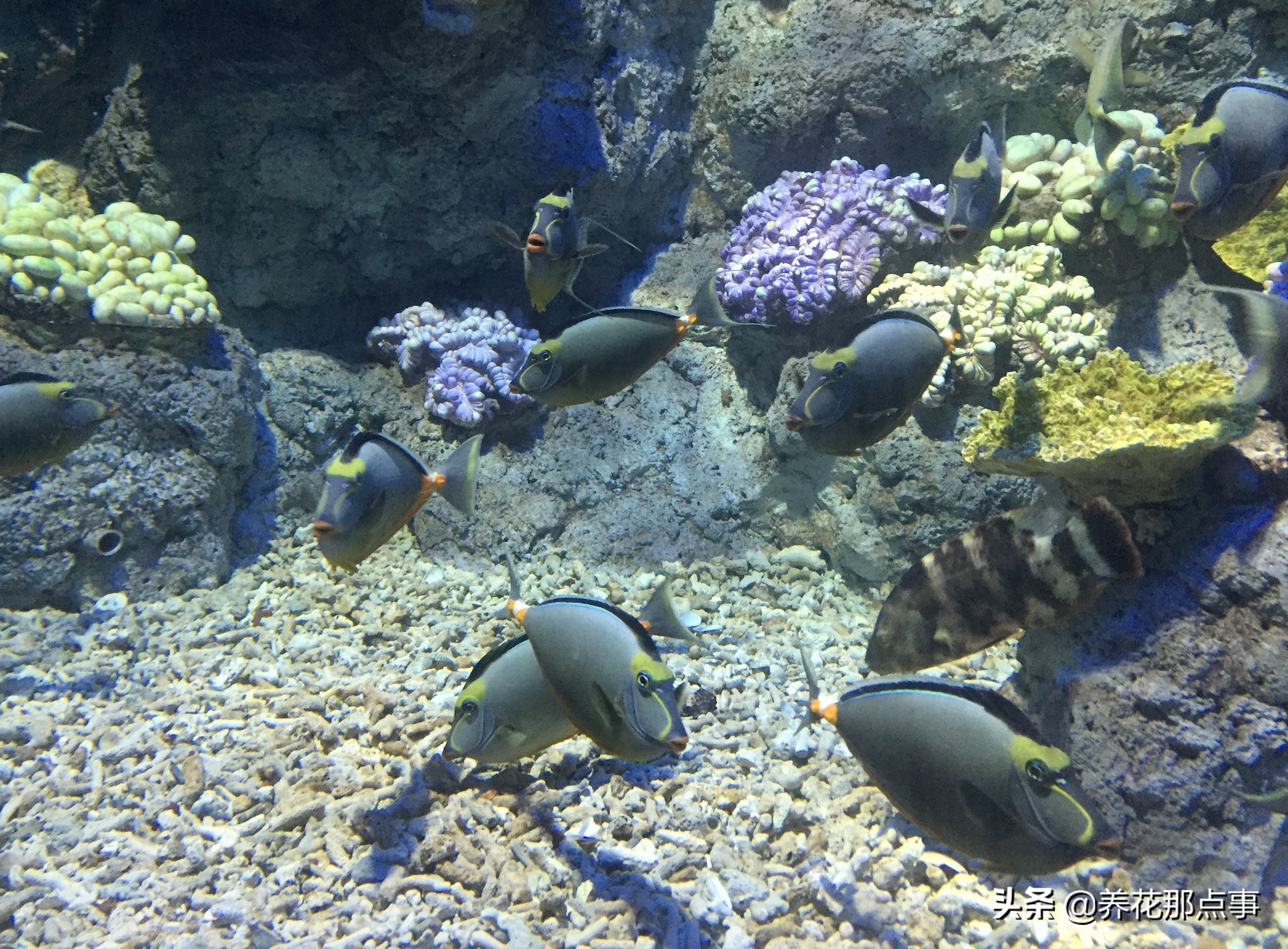 福州最新旅游攻略自由行攻略,去福州旅游自由行攻略最新