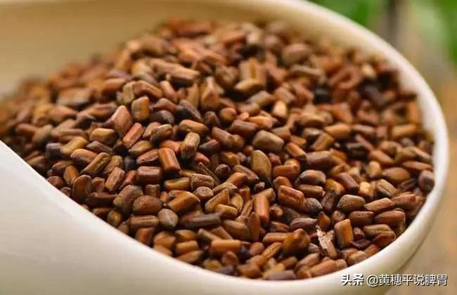 决明子甜叶菊蒲公英的功效与作用,决明子有哪些好处和功效