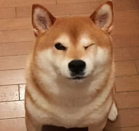 电脑一直按关机键无法关机怎么办,电脑真正关机和错误关机