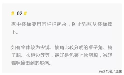 双目失明的猫咪好养吗,瞎了一只眼睛的猫能养吗