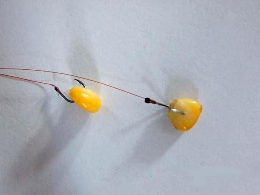 玉米粒钓大鱼最佳钓鱼方法,如何正确用玉米粒钓鱼