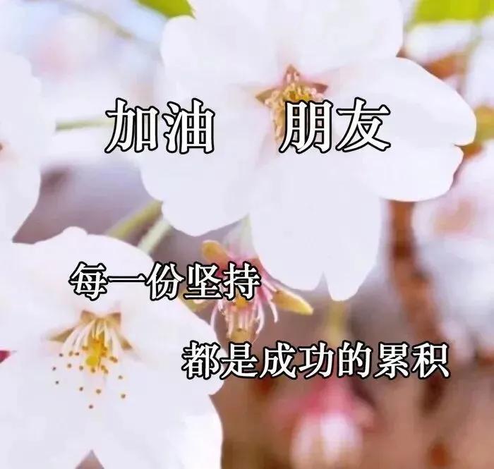 最新早上好问候语正能量图片大全,怎么自己制作早晨问候动态图片