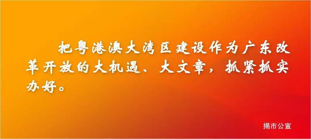 揭东警方破获一电信诈骗案