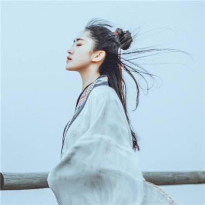 中国十首爱国之情最强烈的诗,古诗三首表达爱国情怀的诗句