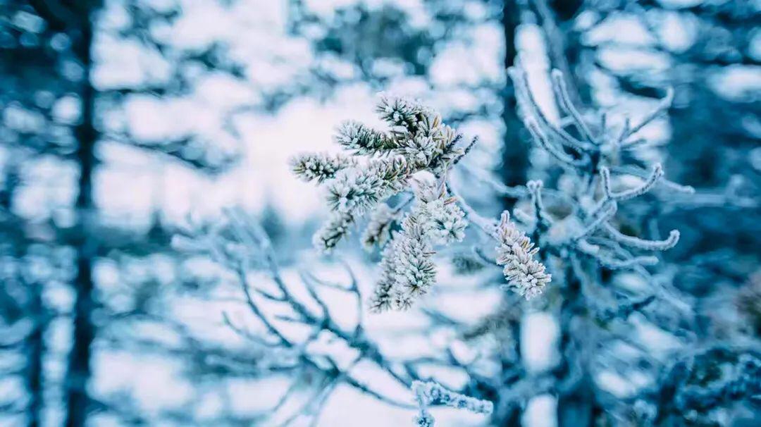 鬼谷子大智慧装傻,鬼谷子人生低谷时三句话