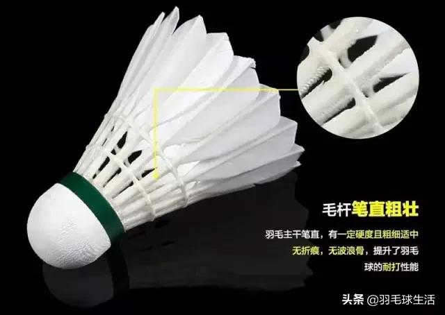 羽毛球初学者实战实用战术和技巧,羽毛球拍选购要注意哪些问题