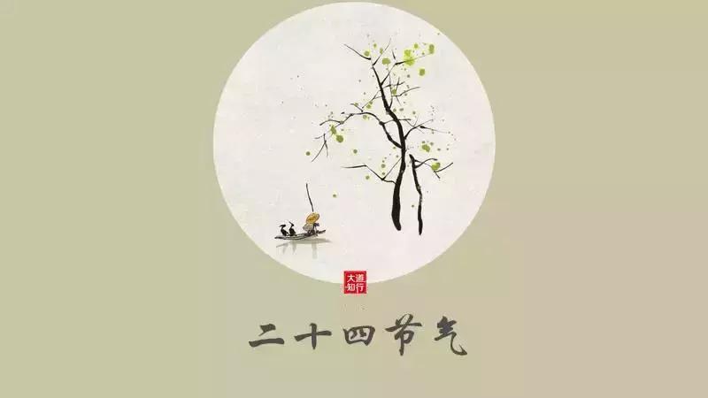 谷雨仓颉庙,谷雨仓颉造字联合国演讲