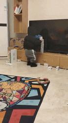 每日一笑：表姐未婚夫被她经理的未婚妻抢走了，表姐找到她经理说