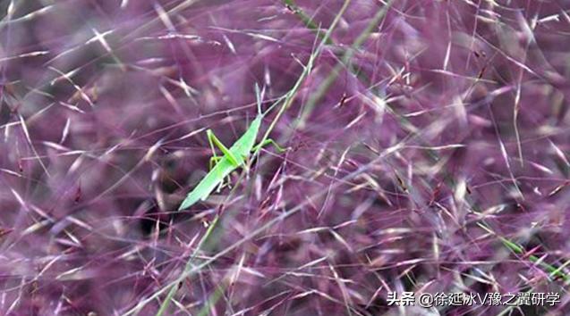 不出郑州旅游攻略,郑州五一游玩公园推荐