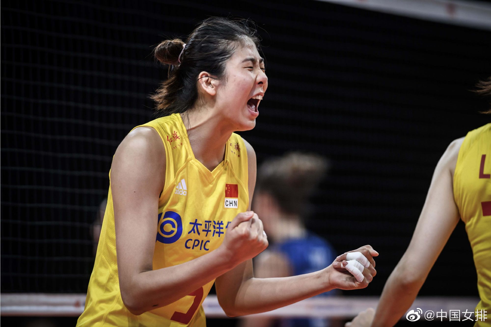 郎导谈女排阵容,女排半决赛郎导怎么打