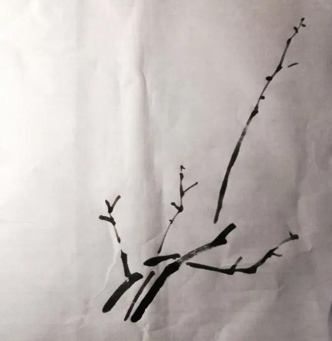 国画写意梅韵教程,大写意梅韵国画