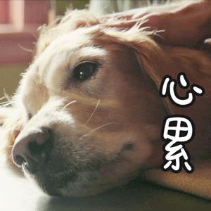 十大进口假红酒名单,香港红酒有假么