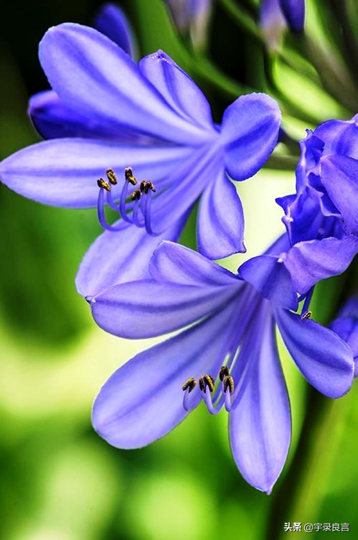 阳光正能量的说说句句温暖自己,积极美好的句子说说