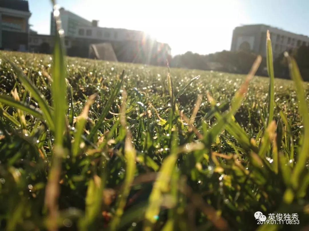 用情致疾，如梦山河，都“写给黄淮”