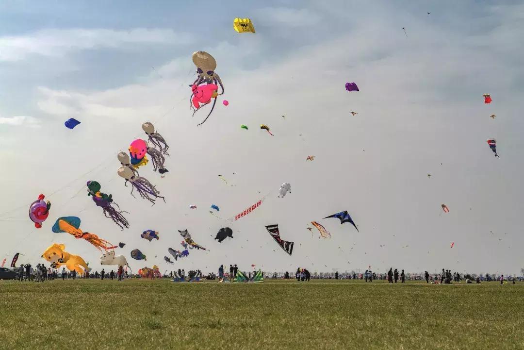 潍坊第36届国际风筝会,第36届潍坊国际风筝会时间