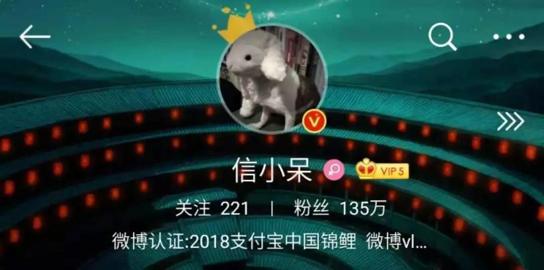 最强锦鲤信小呆价值到底多少,中国锦鲤信小呆后来怎么样了