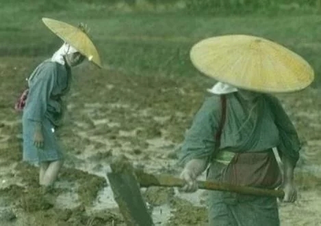 清朝闭关锁国为什么海上贸易兴盛,清朝闭关锁国政策发出时间