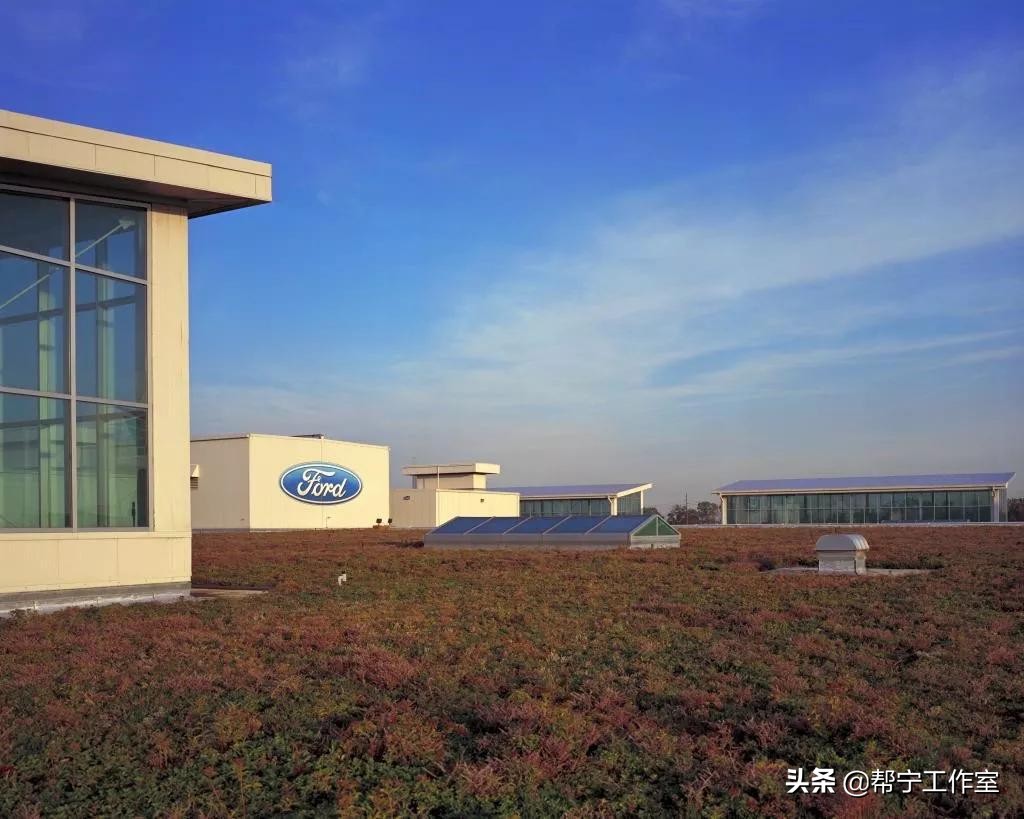 GBN特写|改造福特中国